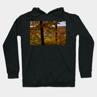 Autumn colours Hoodie